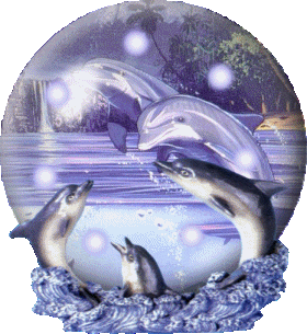 dauphins
