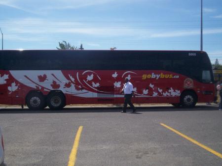 Bus